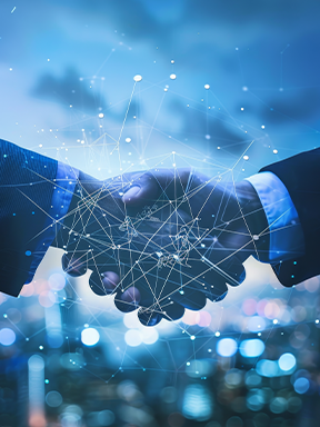 현지 파트너
네트워크